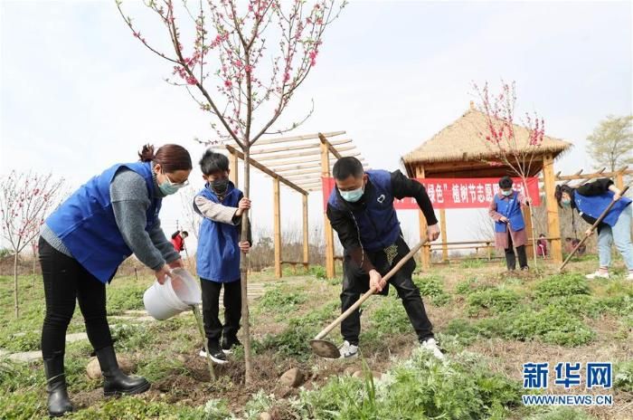 3月12日,志愿者在河北省邯郸市邯山区南堡乡植树(无人机照片)  新华社