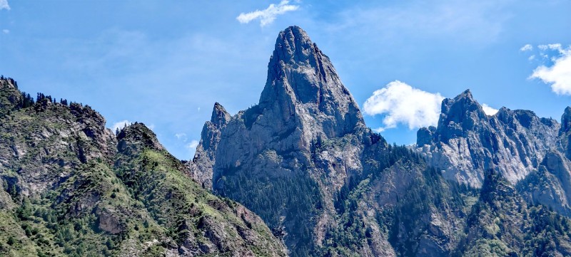 林区风景