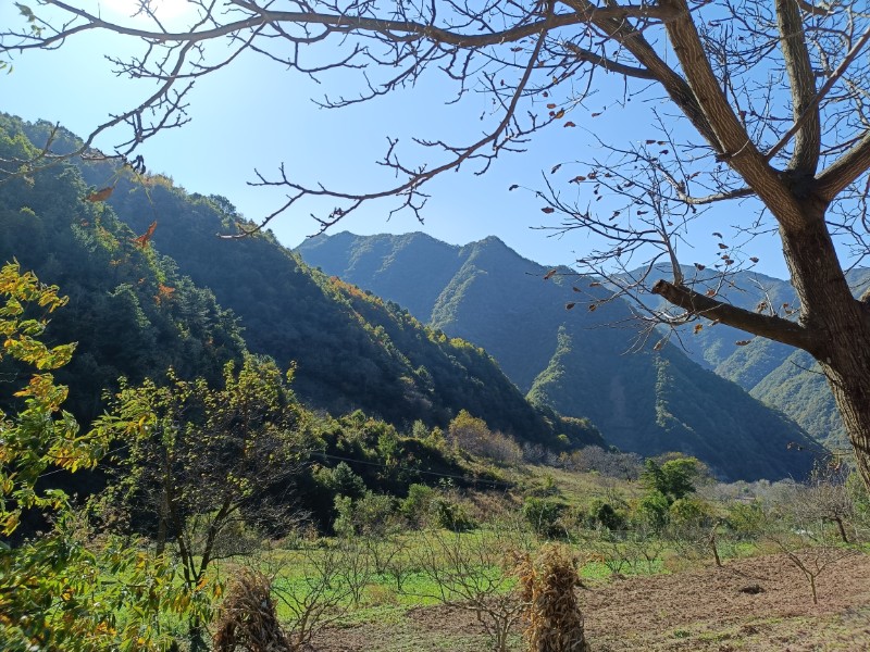 太碌林場、秦嶺管理所林區(qū)秋景、趙林