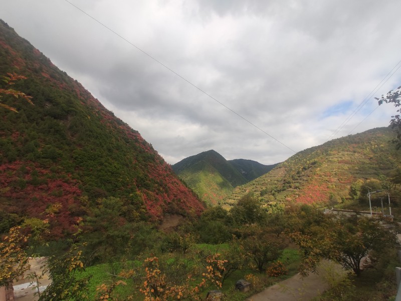 太碌林場(chǎng)、西溝管護(hù)站秋韻、張紅