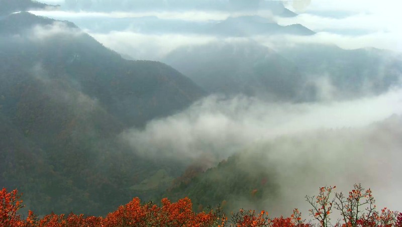 雨后秋景5