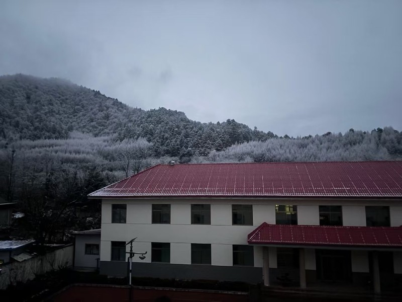 雪景