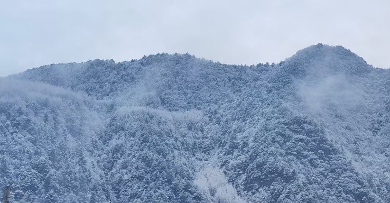 雪景1