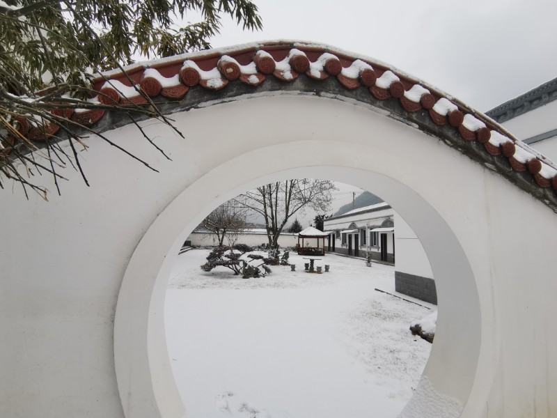 雪景 (6)