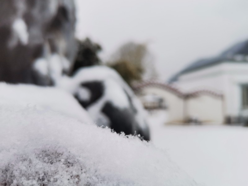 雪景 (8)