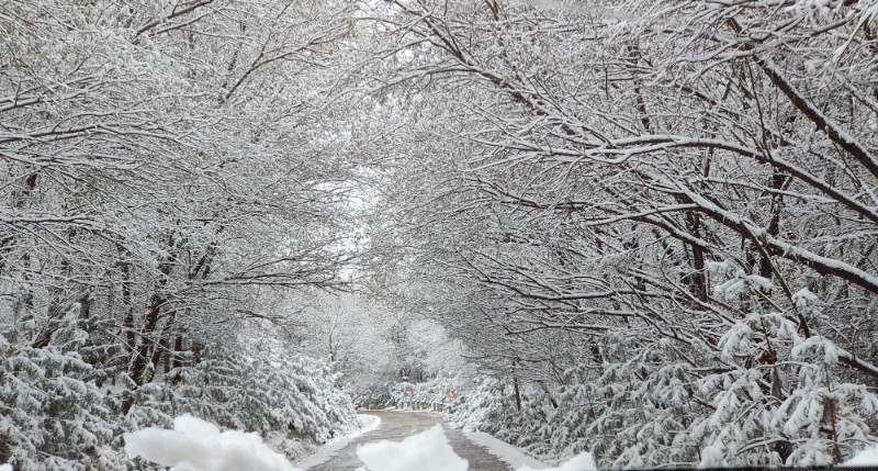 雪景 (2)