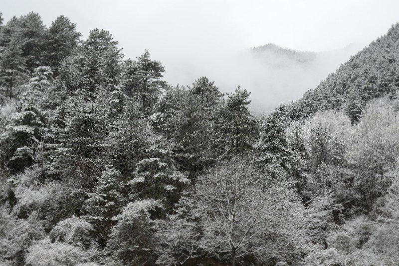 雪景 (4)