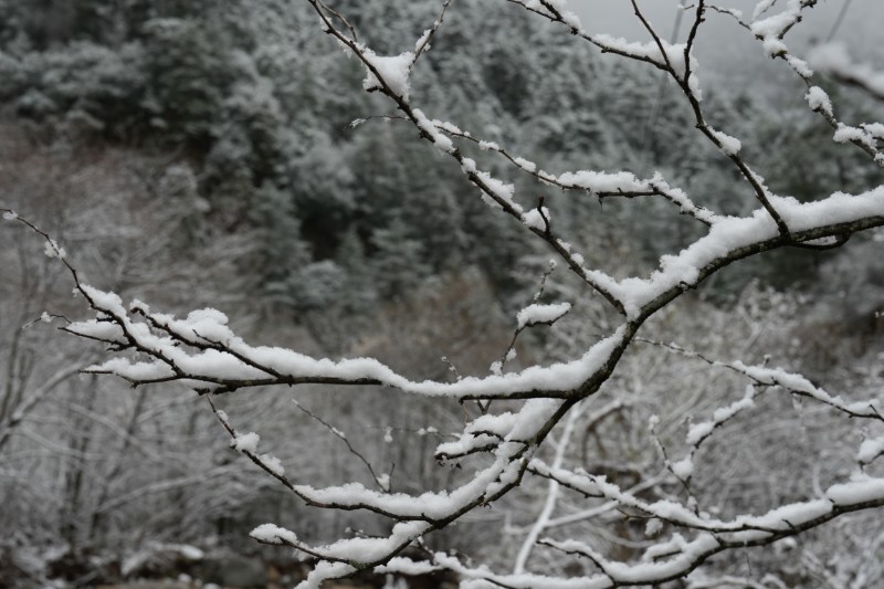 雪景 (9)