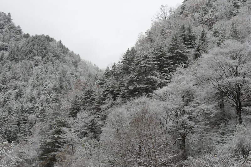 雪景 (10)