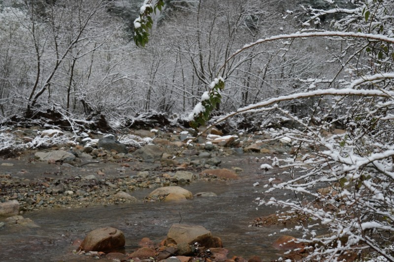 雪景 (15)