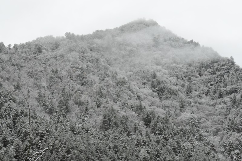 雪景 (17)