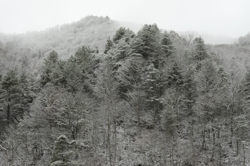 雪景 (18)