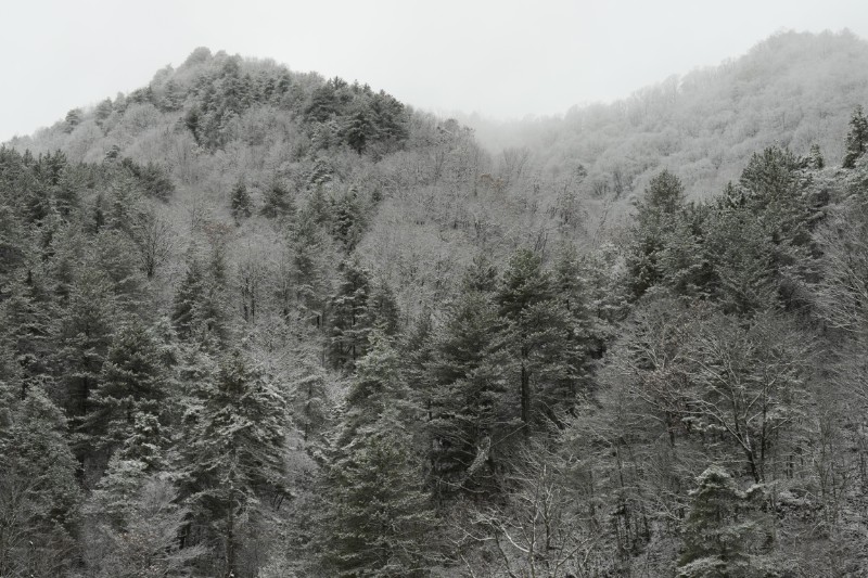 雪景 (21)