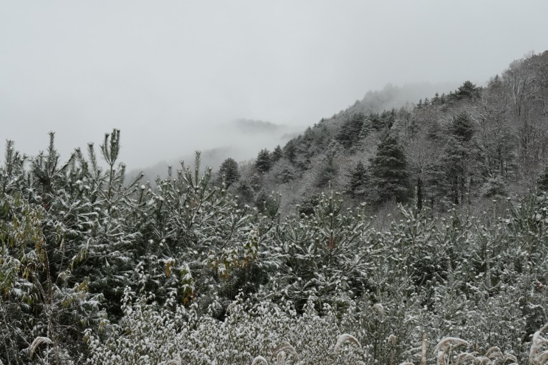 雪景 (22)