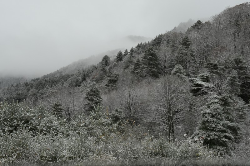 雪景 (23)