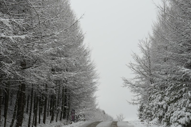 雪景 (28)