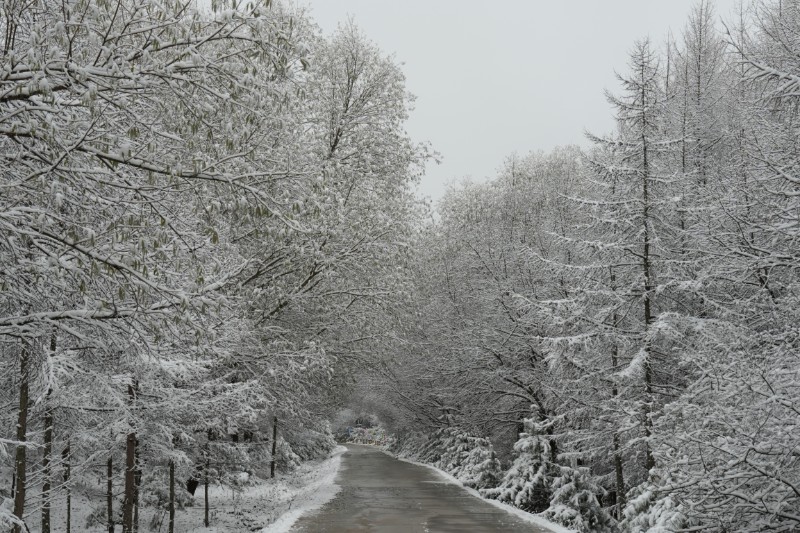 雪景 (29)