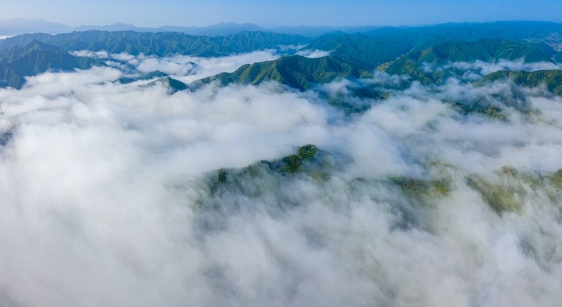 李子省級森林公園白云山云海波濤