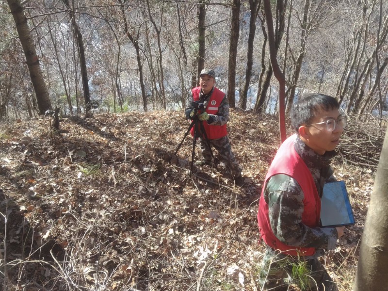 退化林樣地設置