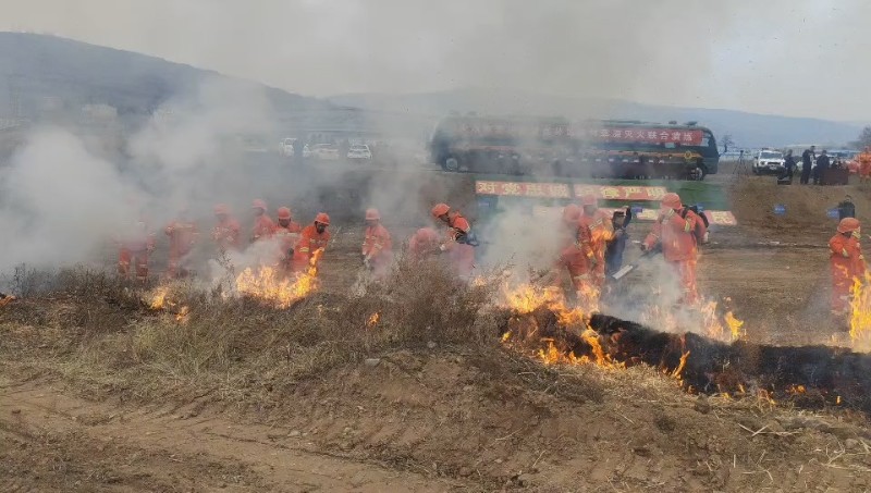 視頻預(yù)覽圖