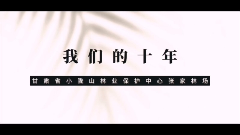 視頻預(yù)覽圖