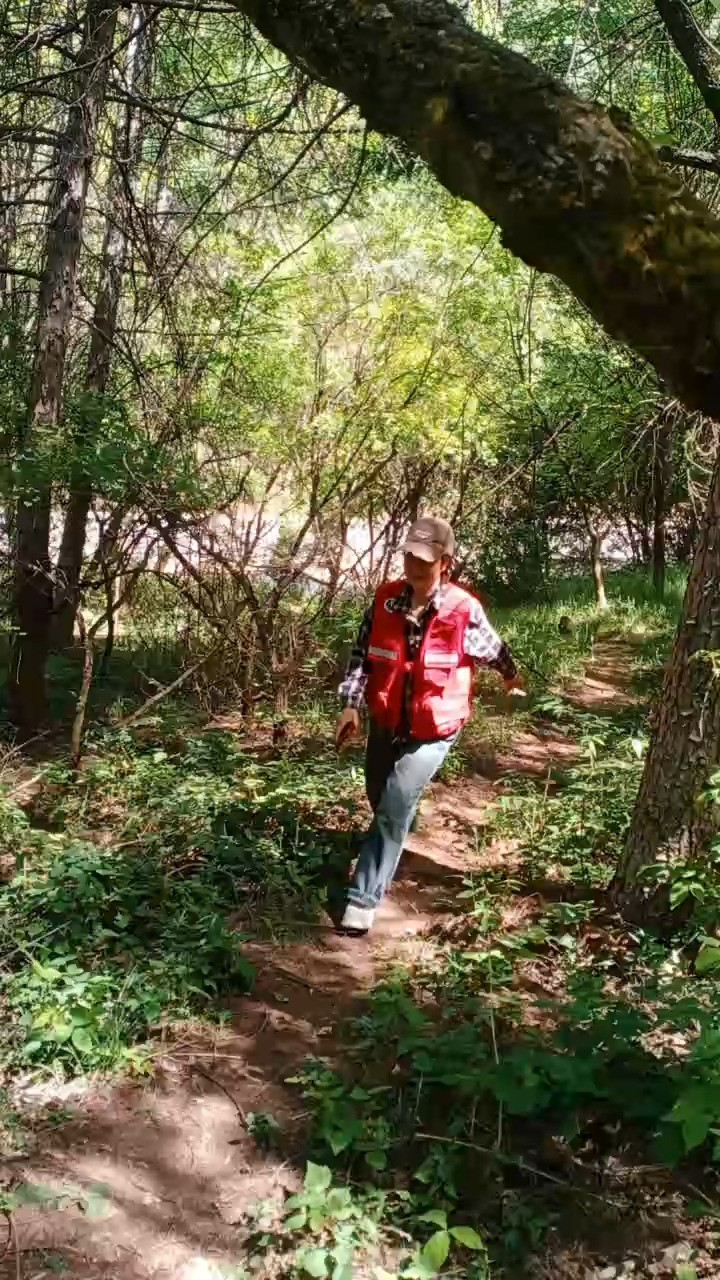 視頻預(yù)覽圖
