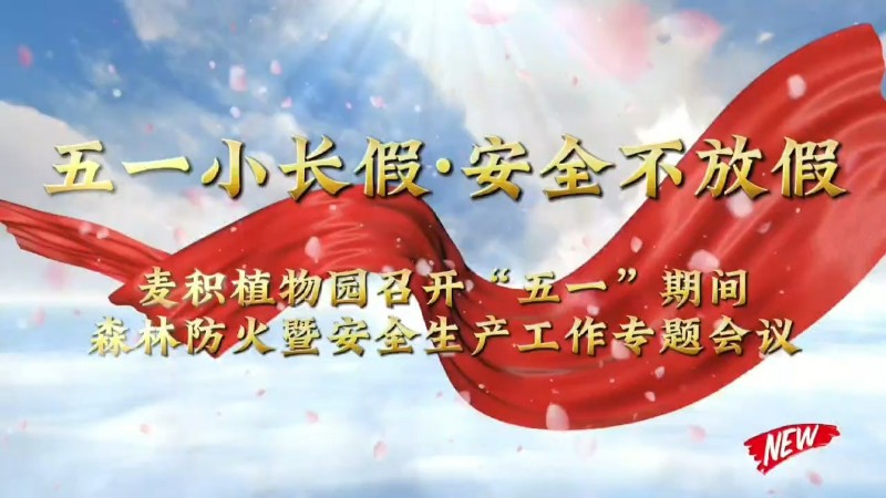 視頻預(yù)覽圖