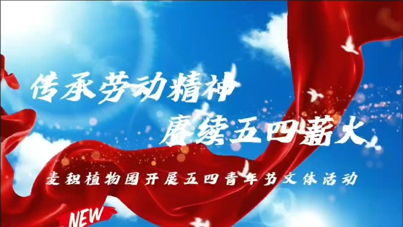 視頻預(yù)覽圖