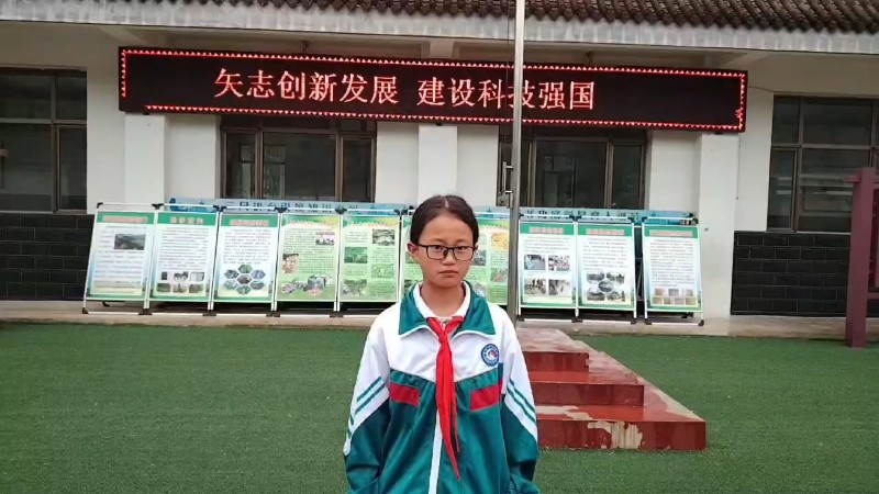 視頻預(yù)覽圖