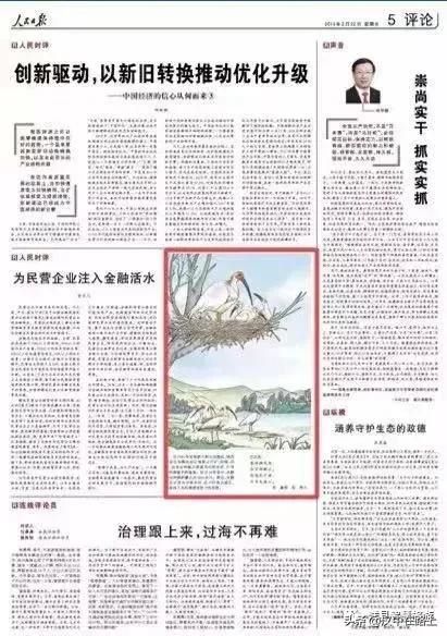 朱鹮又双叒叕上《人民日报》了，汉中洋县因朱鹮而“改变”