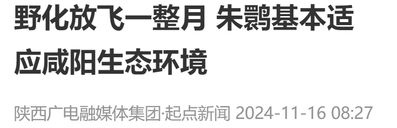 微信圖片_20241122150222