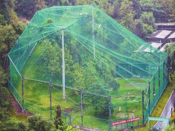   繁育中心野化訓練基地。