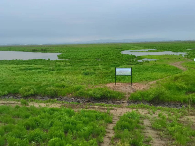 000-20220529科研基地濕地