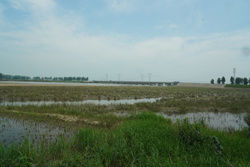 003-螞蟻河洪水退去DSC02296