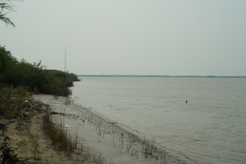 006-松花江水正在逐漸退去DSC02209
