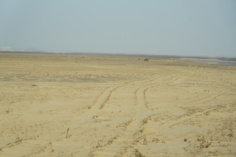 DSC04780