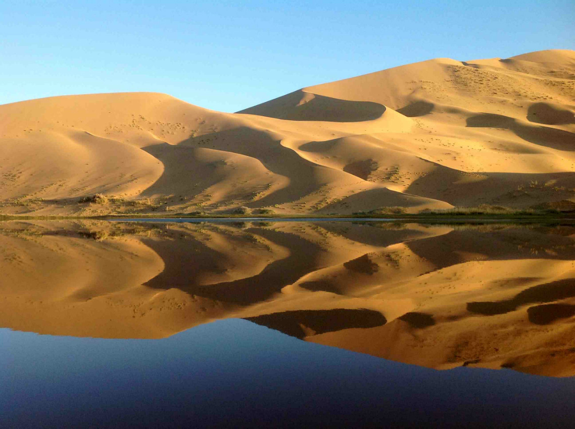 沙漠上的金色胡杨林-阿拉善盟旅游攻略-游记-去哪儿攻略