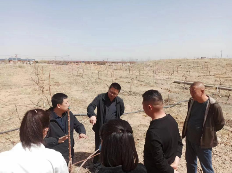 程亮副研究员在中宁县太阳梁乡樱桃种植区进行技术指导