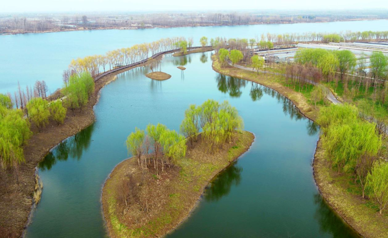 江苏第二批优秀湿地修复案例 | 徐州丰县黄河故道大沙河国家湿地公园生态修复案例 - 关注森林