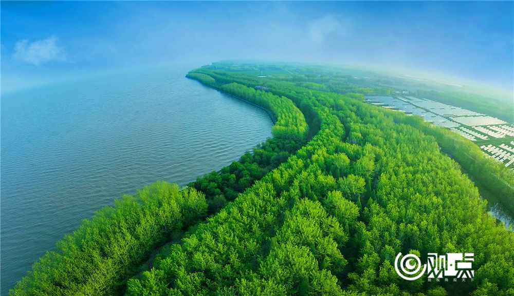 延绵70多公里的洪泽湖生态绿堤。  陈光晰  摄