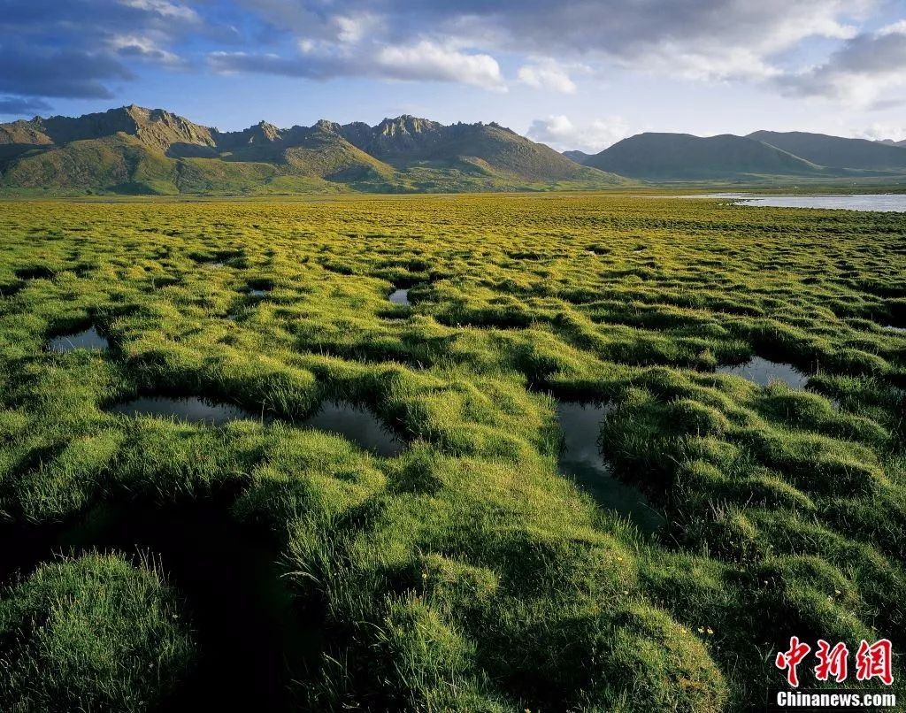 大自然的馈赠——三江源国家公园
