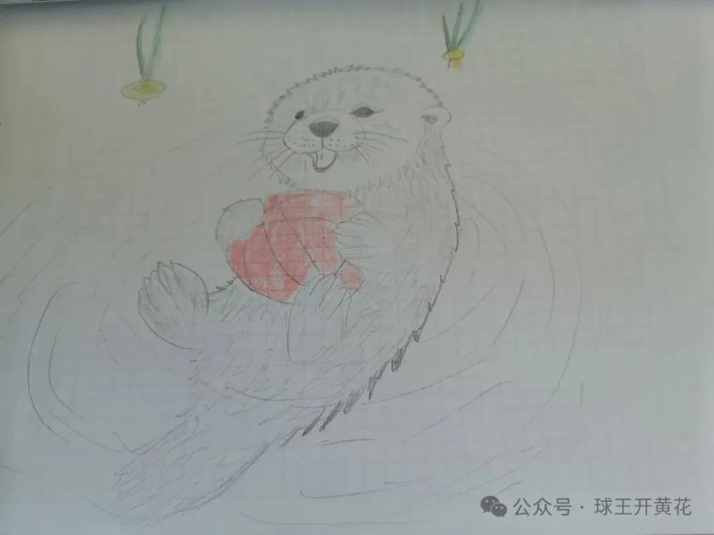 圖片