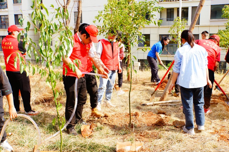20230309，志愿者在天生幼儿园开展植树活动（潘婷 摄）