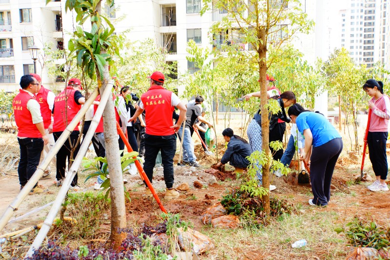 20230309，志愿者们在天生幼儿园开展植树活动（潘婷 摄）