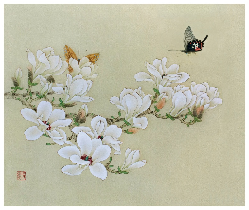 白玉蘭Michelia alba DC