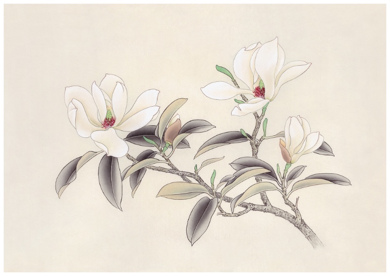 大山樸寫生36.4x51.7cm