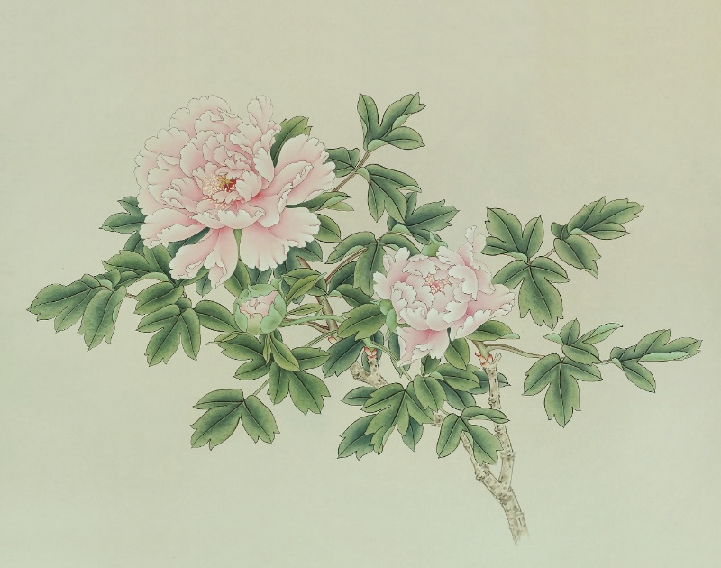 牡丹-藍(lán)田玉