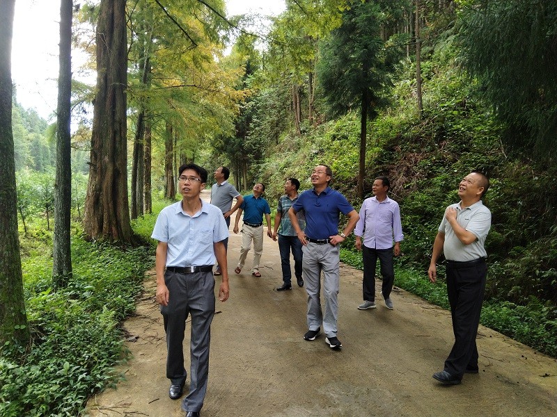 省种苗局局长艾卿在遂川县五指峰林场调研森林康养项目