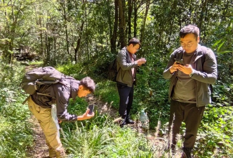 圖片