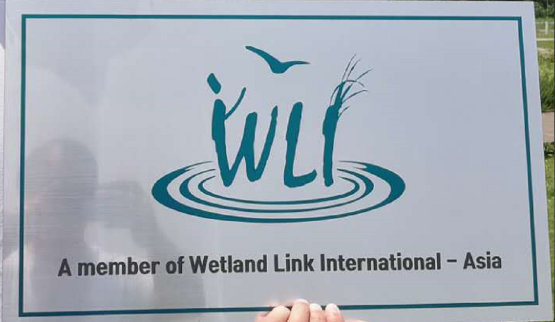 A member of Werland Link International-Asia_看图王